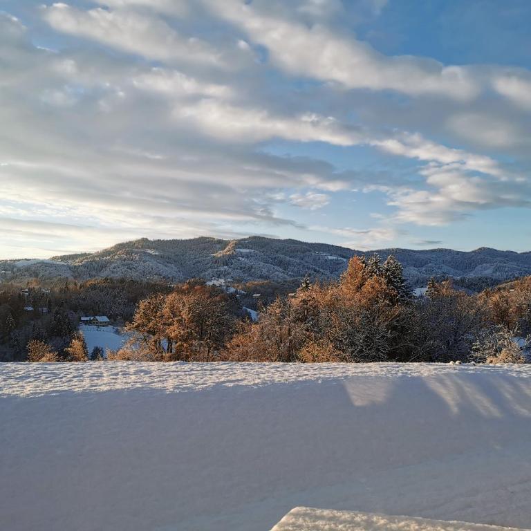 Stilvolles Ferienhaus Südsteiermark ruhige Lage top Aussicht & E-Ladestation - Haus mit 3 Schlafzimmern - 45