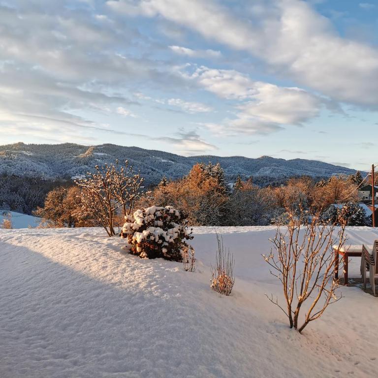 Stilvolles Ferienhaus Südsteiermark ruhige Lage top Aussicht & E-Ladestation - Haus mit 3 Schlafzimmern - 42