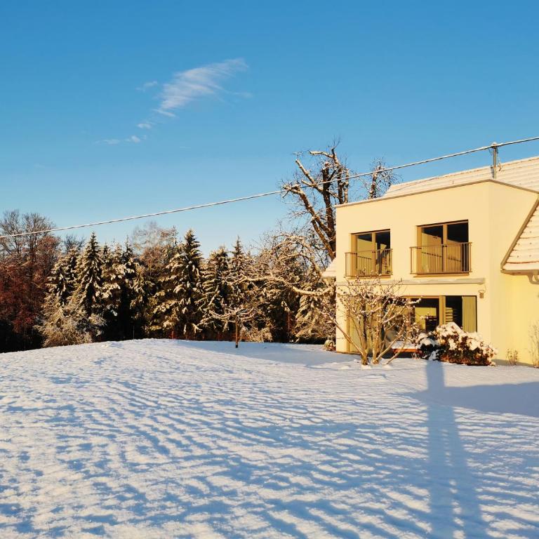 Stilvolles Ferienhaus Südsteiermark ruhige Lage top Aussicht & E-Ladestation - Haus mit 3 Schlafzimmern - 35