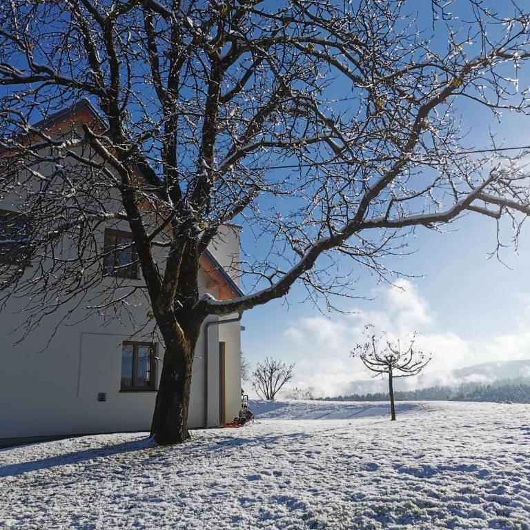 Stilvolles Ferienhaus Südsteiermark ruhige Lage top Aussicht & E-Ladestation - Haus mit 3 Schlafzimmern - 44