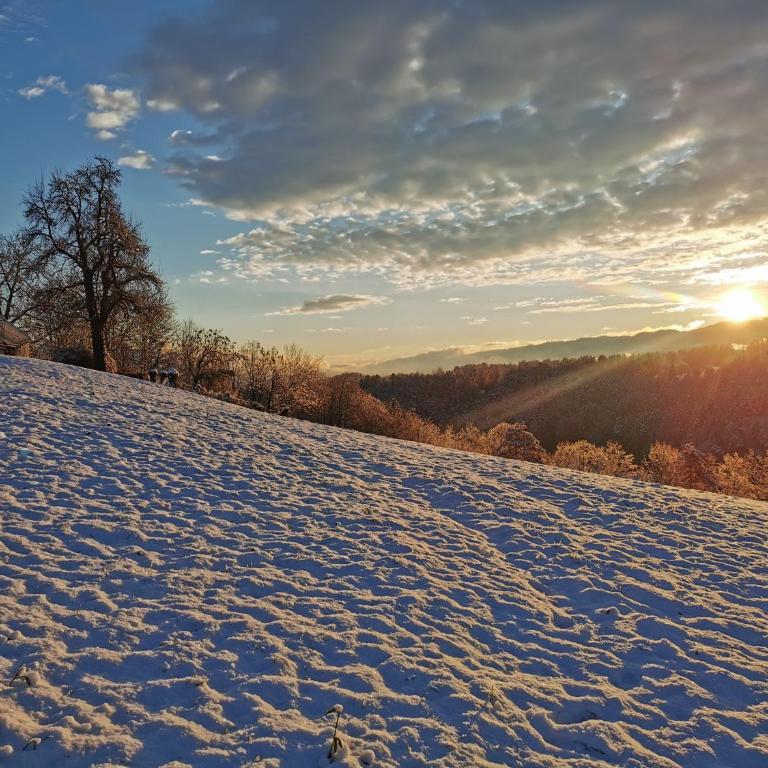 Stilvolles Ferienhaus Südsteiermark ruhige Lage top Aussicht & E-Ladestation - Haus mit 3 Schlafzimmern - 46