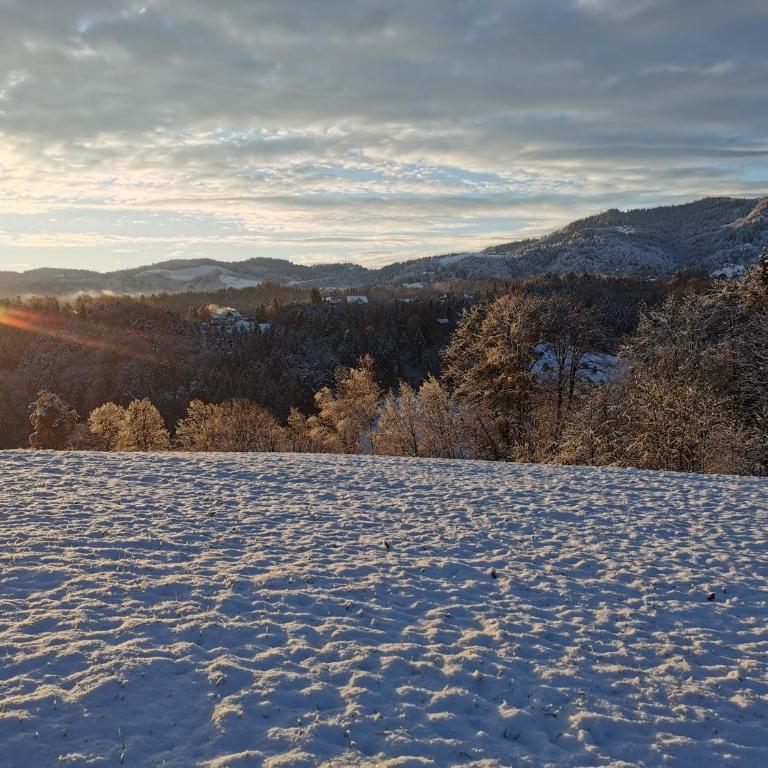 Stilvolles Ferienhaus Südsteiermark ruhige Lage top Aussicht & E-Ladestation - Haus mit 3 Schlafzimmern - 37