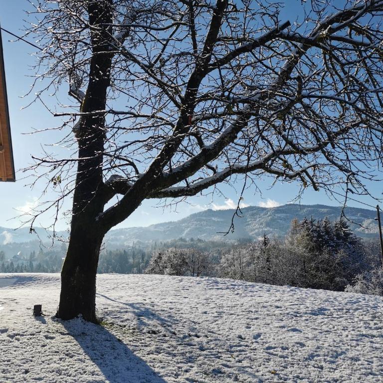 Stilvolles Ferienhaus Südsteiermark ruhige Lage top Aussicht & E-Ladestation - Haus mit 3 Schlafzimmern - 40