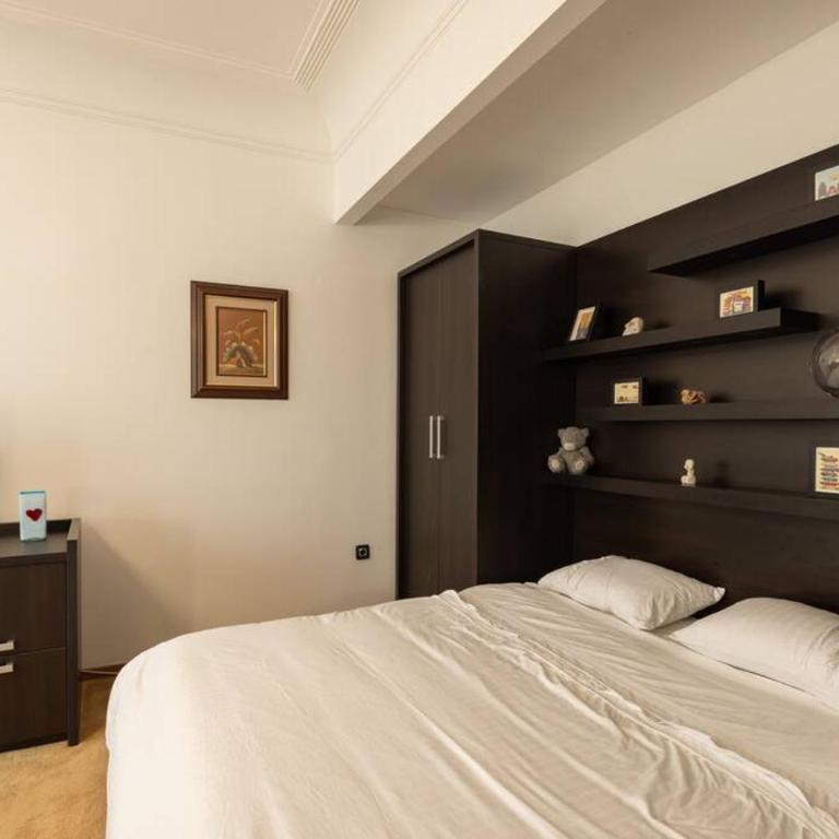 Belgrade Center Apartment Lux V - Apartman sa 1 Spavaćom Sobom - 13