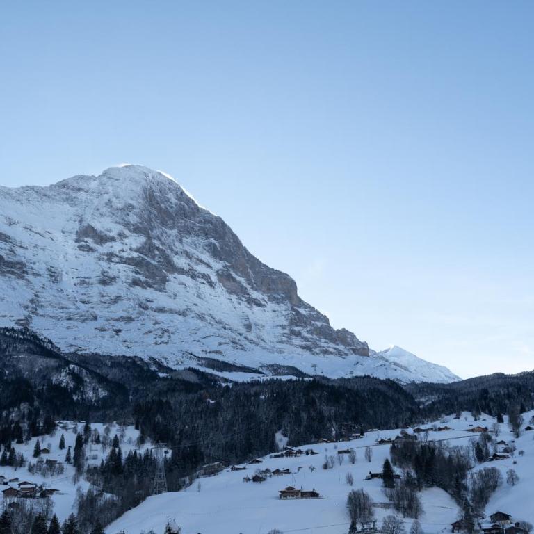 The Glacier Express Apartment - GRINDELHOMES - Appartement - 28