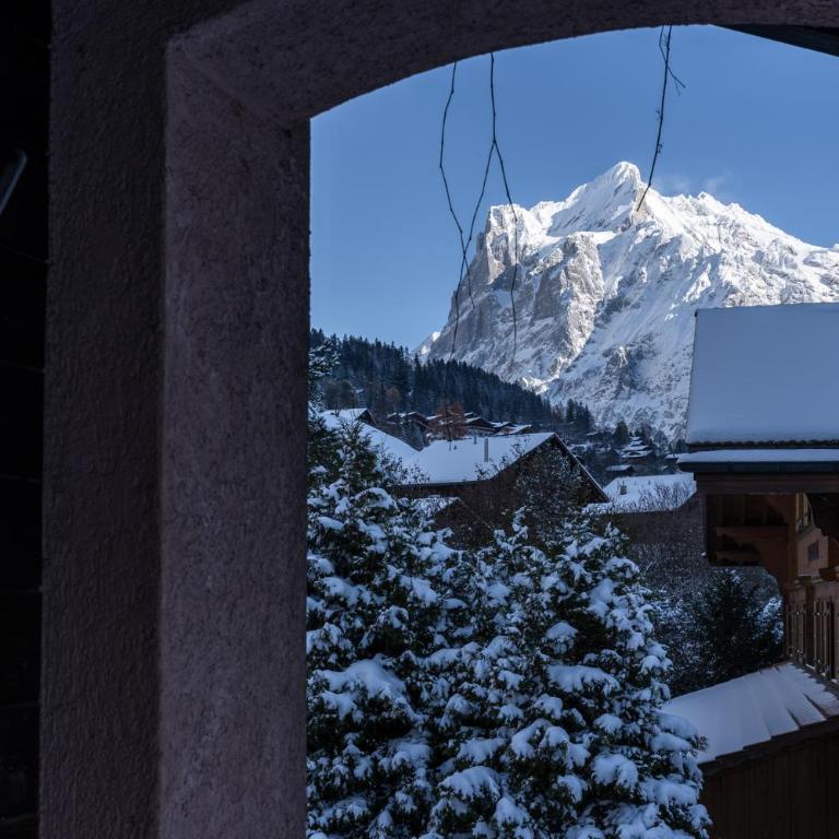 The Glacier Express Apartment - GRINDELHOMES - Appartement - 27