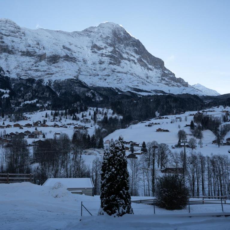 The Glacier Express Apartment - GRINDELHOMES - Appartement - 12