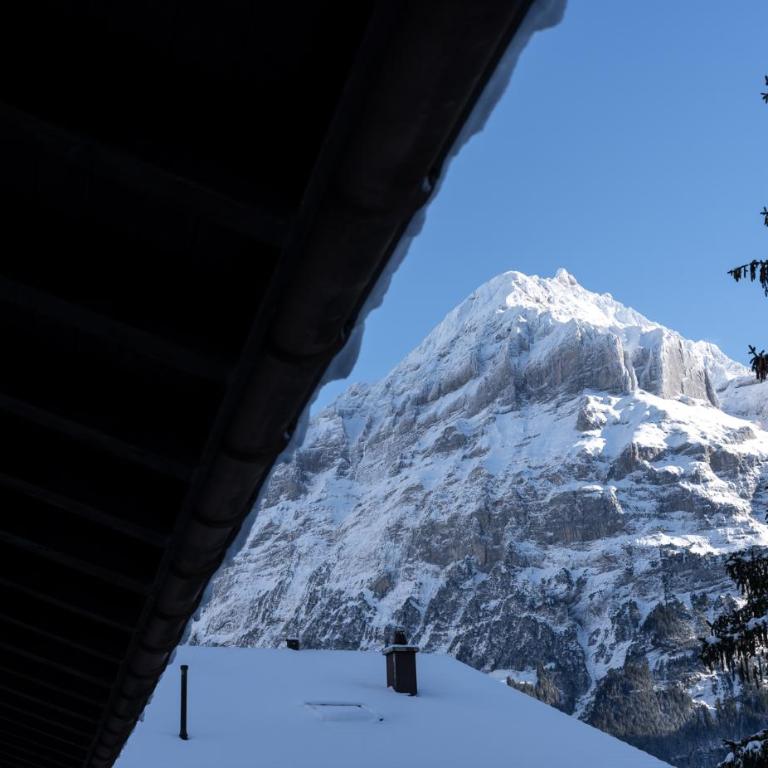 The Glacier Express Apartment - GRINDELHOMES - Appartement - 29