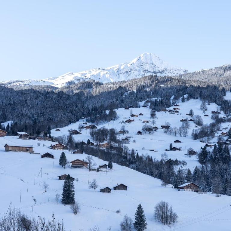 The Glacier Express Apartment - GRINDELHOMES - Appartement - 23