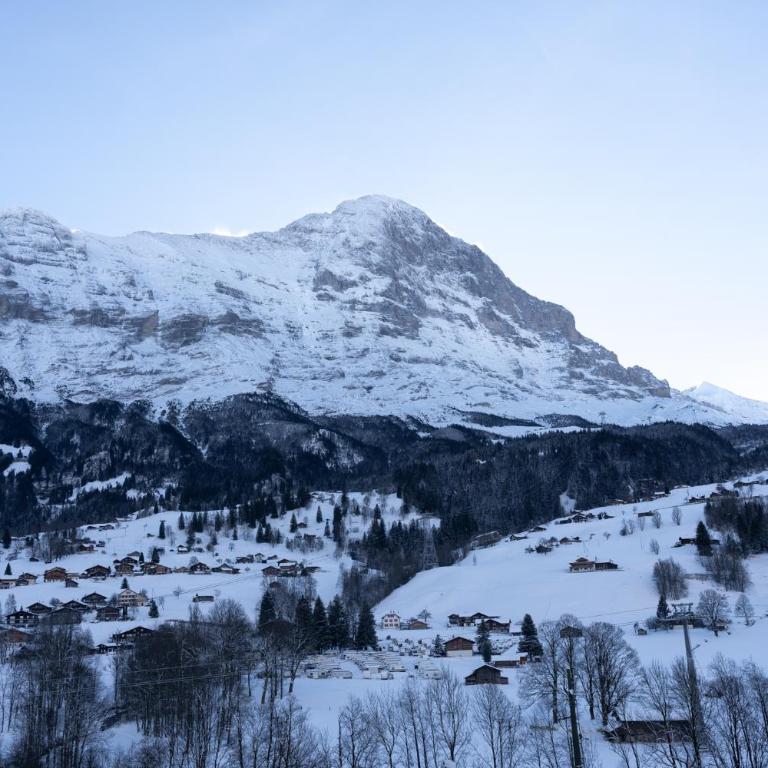 The Glacier Express Apartment - GRINDELHOMES - Appartement - 25