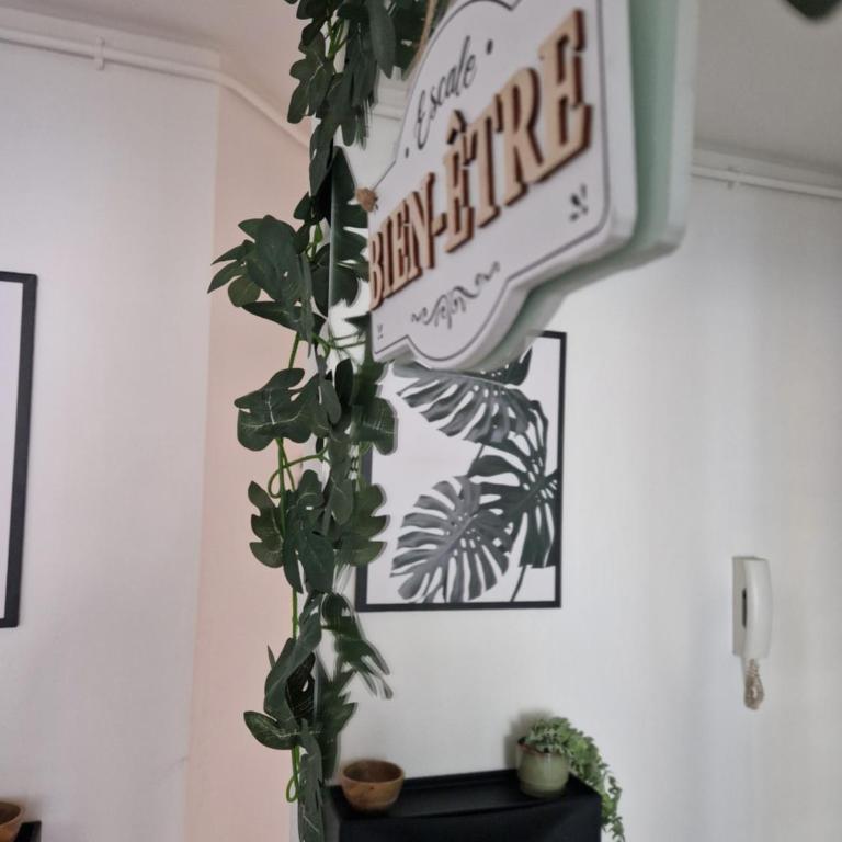 ANTOINE, madamedemconciergerie - Appartement 1 Chambre - 16