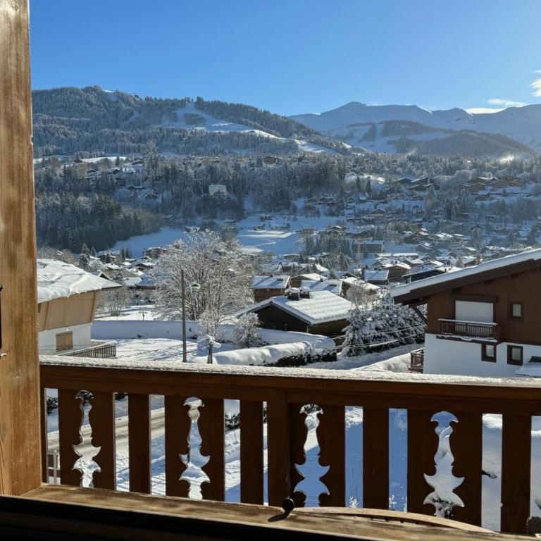 Chalet LE REPAIRE proches des Pistes - Apartment - 14