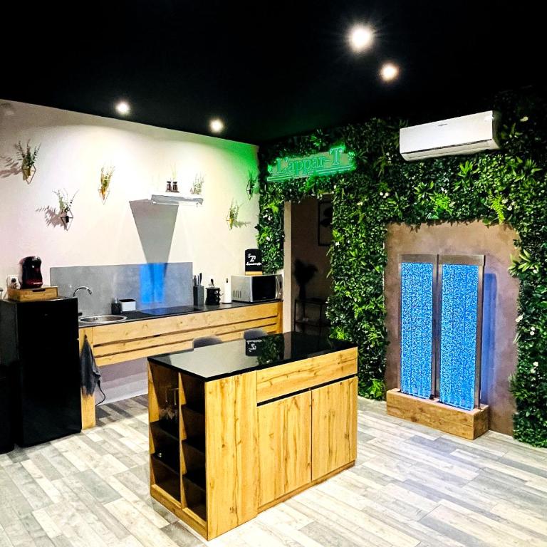 L'appar-T loft avec Spa privatif et jardin - Appartement 1 Chambre - 17