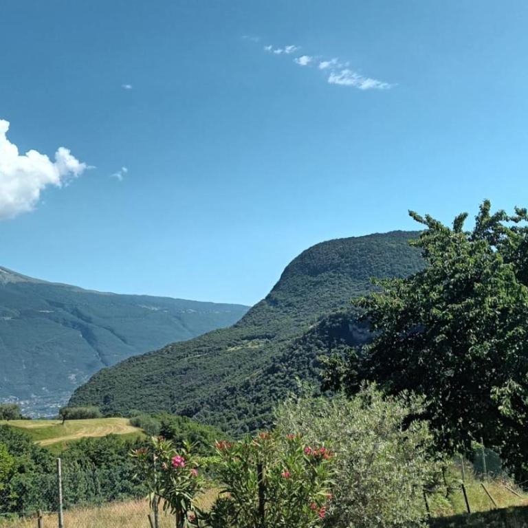 Casa Desil - Appartamento bilocale con terrazza privata - Appartamento con 1 Camera da Letto - 15