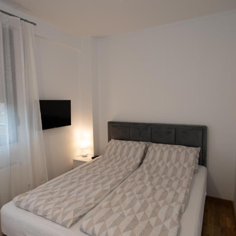 Petković apartmani 35 - Apartman sa 1 Spavaćom Sobom - 45