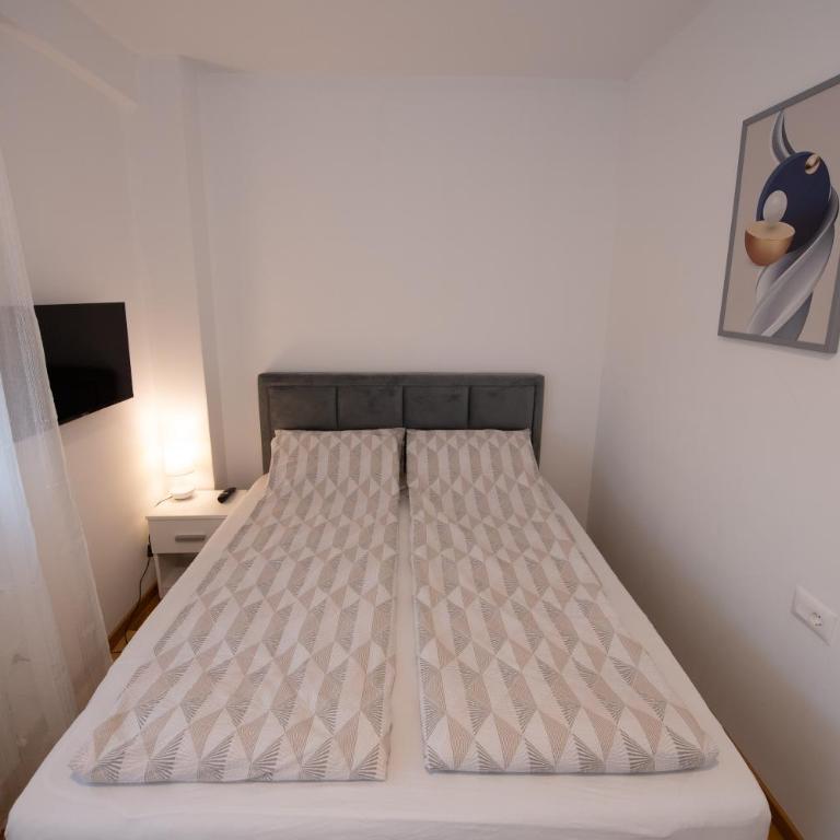 Petković apartmani 35 - Apartman sa 1 Spavaćom Sobom - 43