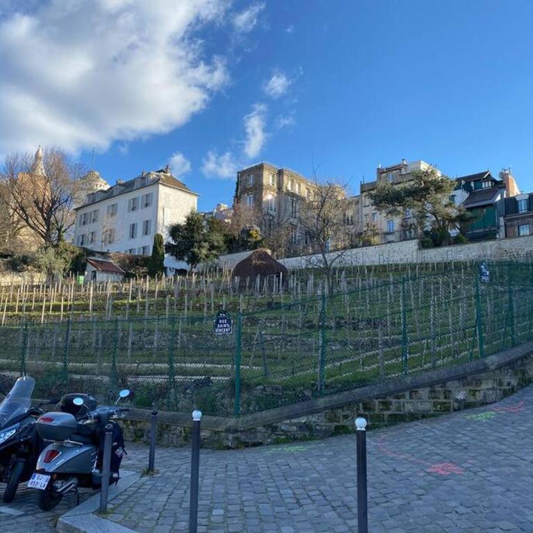 Le fameux Montmartre - Appartement 1 Chambre - 24