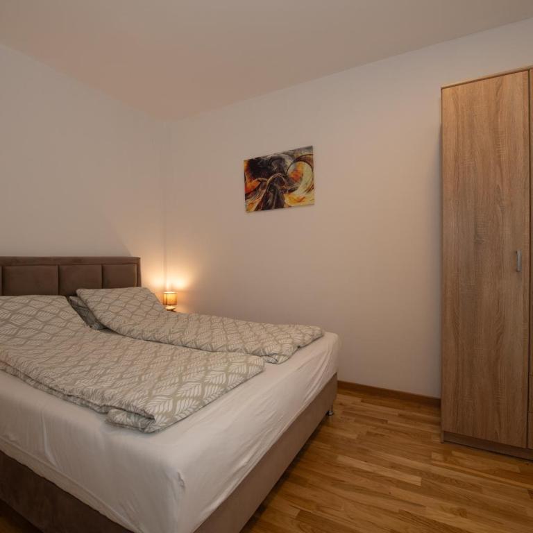 Petković apartmani 34 - Apartman sa 1 Spavaćom Sobom - 47