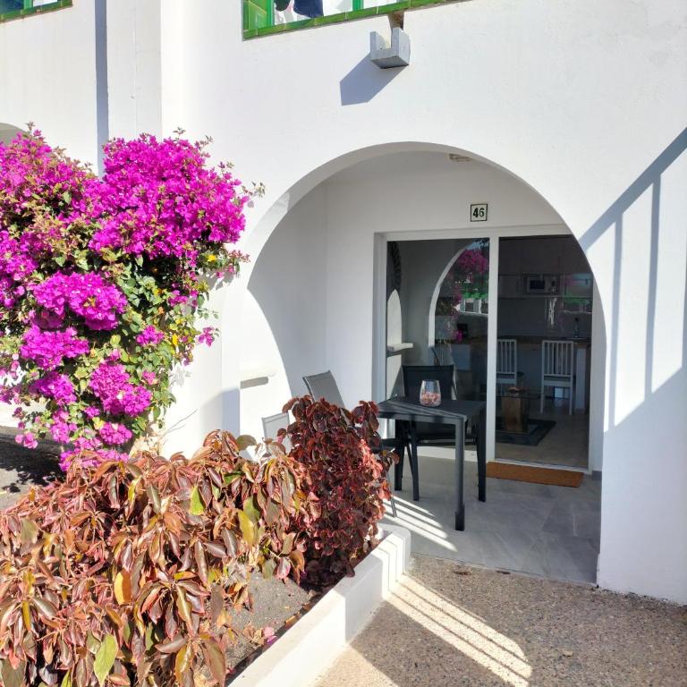 Casa de Guacimeta - One-Bedroom Apartment - 5