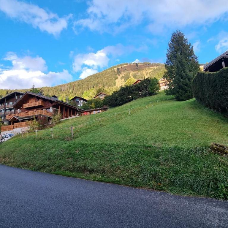 Les Chalets du Petit Châtel - Appartement 2 Chambres - 3
