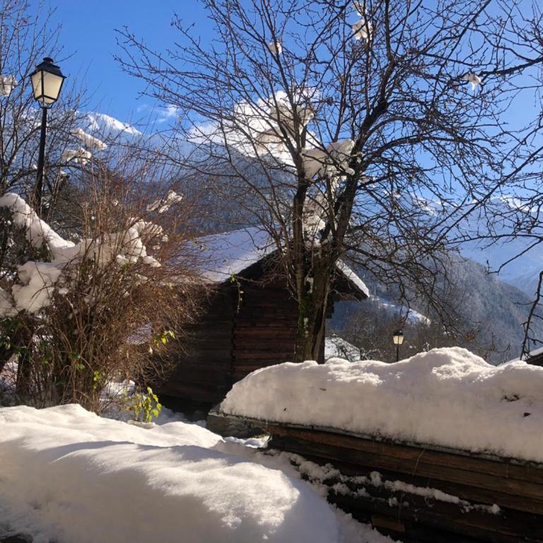 300-year-old Farmhouse Chalet - Appartement 2 Chambres - 26