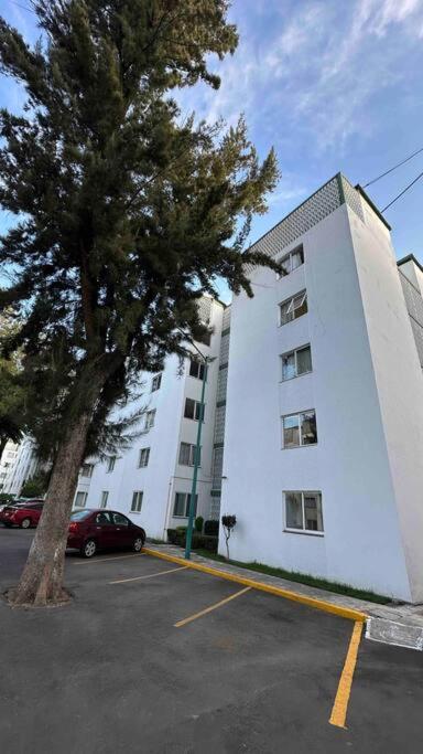 Mexique - Three-Bedroom Apartment - 14