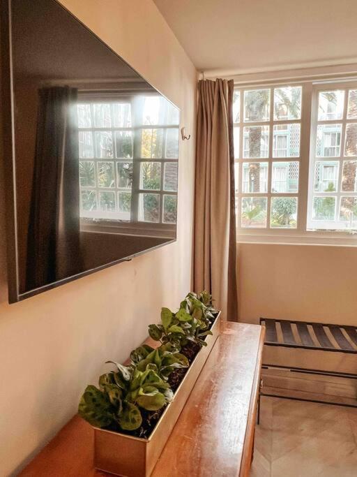 Mexique - Three-Bedroom Apartment - 32
