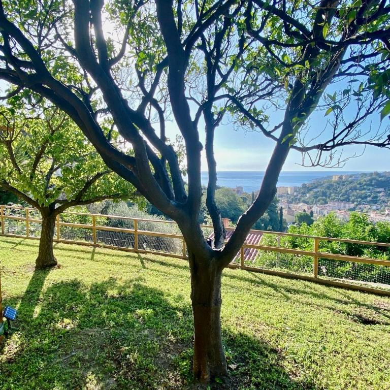Villa panoramique vue mer et jardin-6 personnes-Menton - Villa 3 Chambres - 25