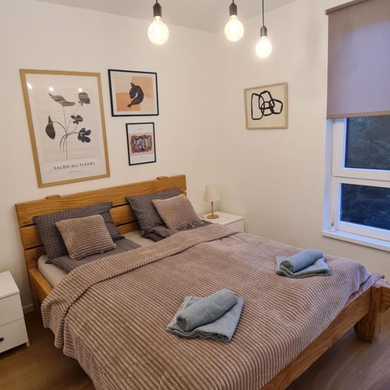 Apartmani Šišarka Jahorina - Apartman sa 1 Spavaćom Sobom - 5
