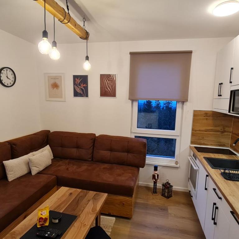Apartmani Šišarka Jahorina - Apartman sa 1 Spavaćom Sobom - 13