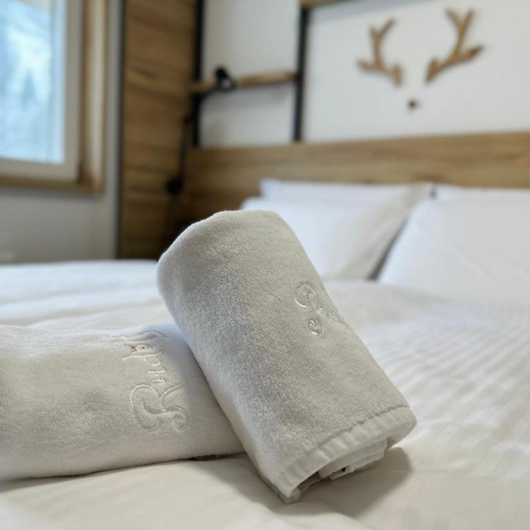 Apartman Rudolf, Snjezna Dolina Resort - Apartman sa Pogledom na Planinu - 3