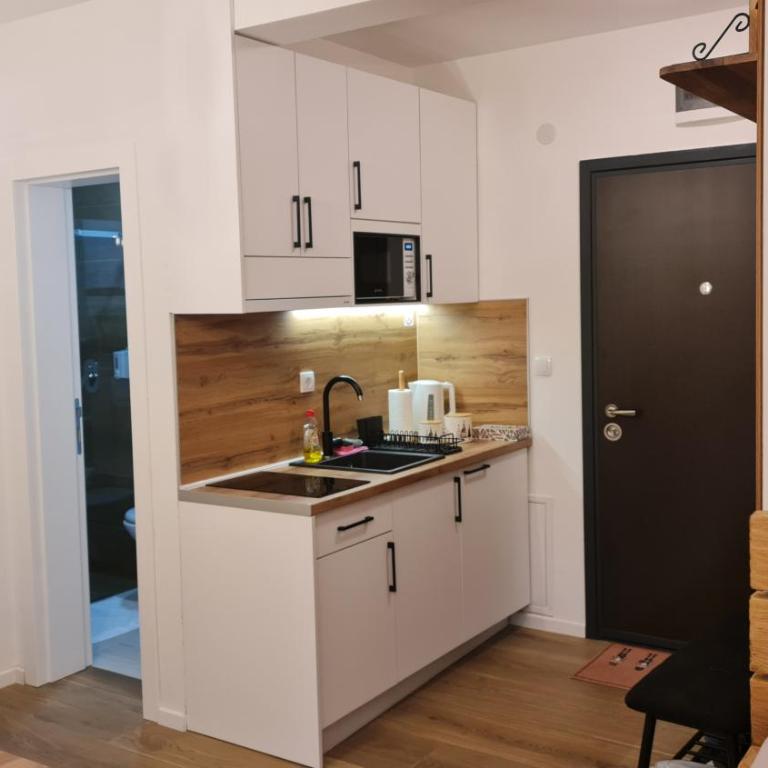 Apartmani Šišarka Jahorina - Standardni Studio - 3