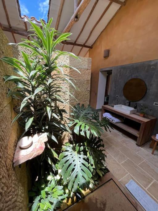 Casa Vero - Habitación Doble Deluxe con vistas a la montaña - 1 o 2 camas - 17