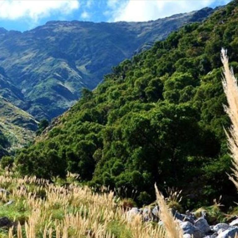 Casa Aguaribay para 4 personas, cerca del centro, Merlo San Luis - Two-Bedroom House - 3