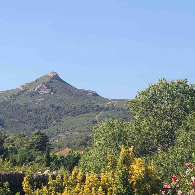 Charmant T2 calme , climatisé et piscine privée - Appartement 1 Chambre - 14