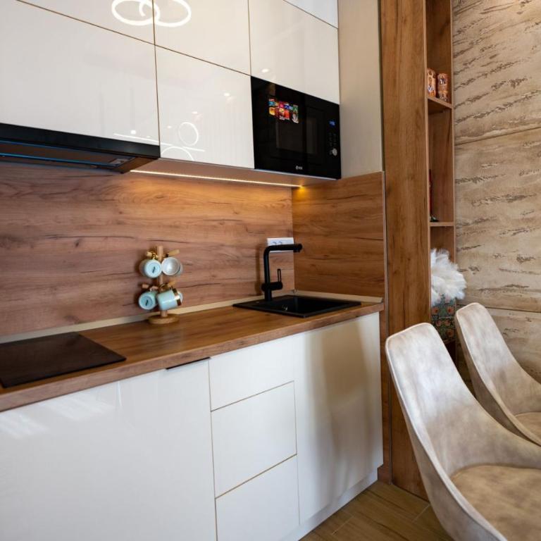Green Hill Isidorovic Divcibare - Apartman sa 1 Spavaćom Sobom - 33