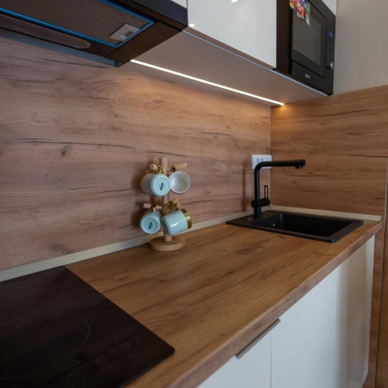 Green Hill Isidorovic Divcibare - Apartman sa 1 Spavaćom Sobom - 34