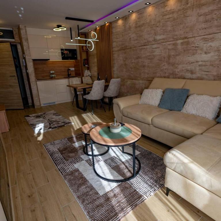 Green Hill Isidorovic Divcibare - Apartman sa 1 Spavaćom Sobom - 35