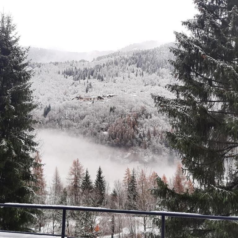 Casa Dolomiti Marilleva 900 - Mountain View Terrace - Appartamento con 3 Camere da Letto - 25