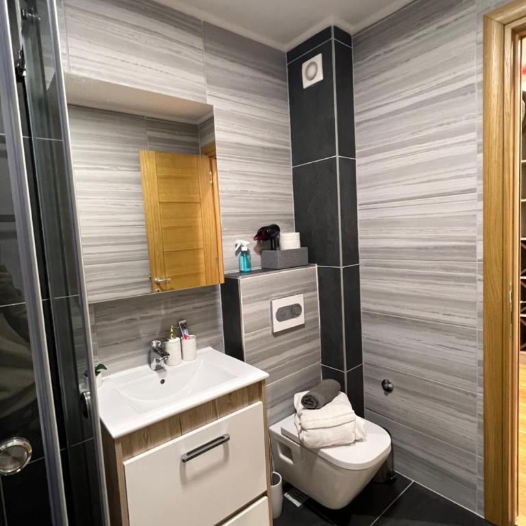 Zlatibor Apartman - Two-Bedroom Apartment - 20