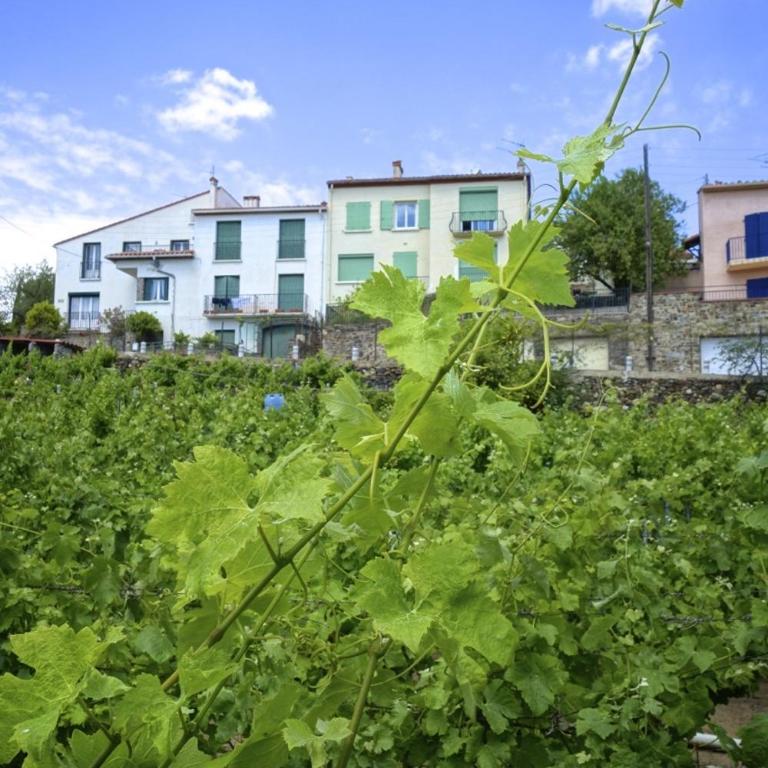 Le Clos Saint Elme - Appartement avec Terrasse (2 Adultes) - 2