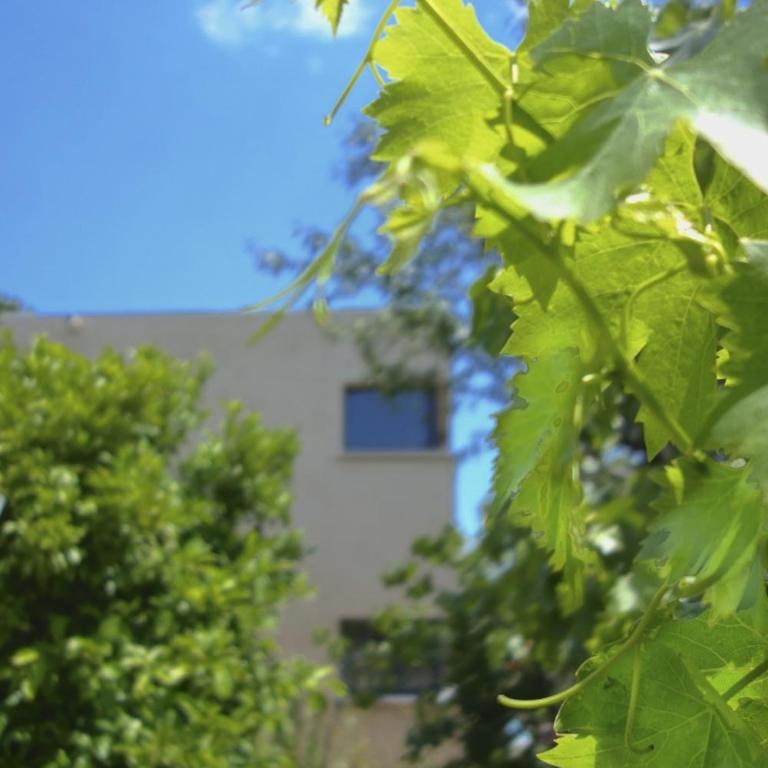 Le Clos Saint Elme - Appartement avec Terrasse (2 Adultes) - 3
