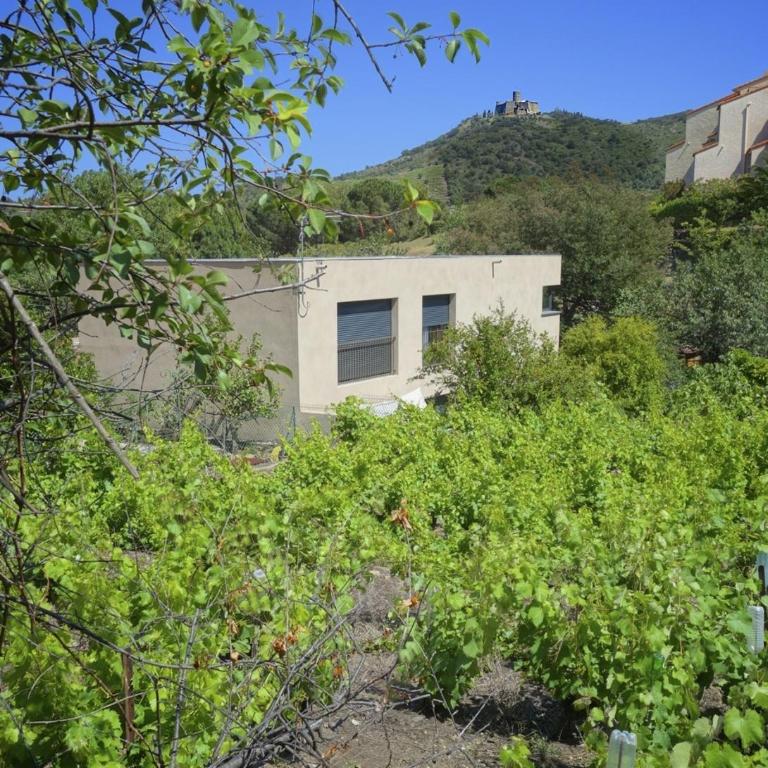 Le Clos Saint Elme - Appartement avec Terrasse (2 Adultes) - 4