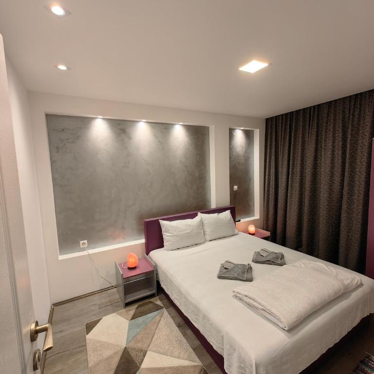 Apartmani MiS apartman br 2 - One-Bedroom Apartment - 9