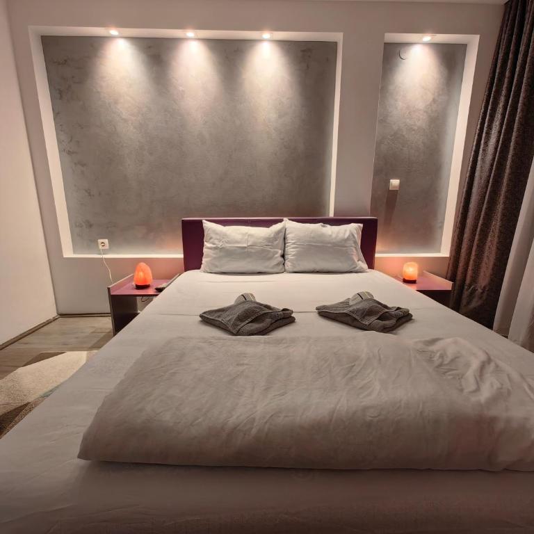 Apartmani MiS apartman br 2 - One-Bedroom Apartment - 12
