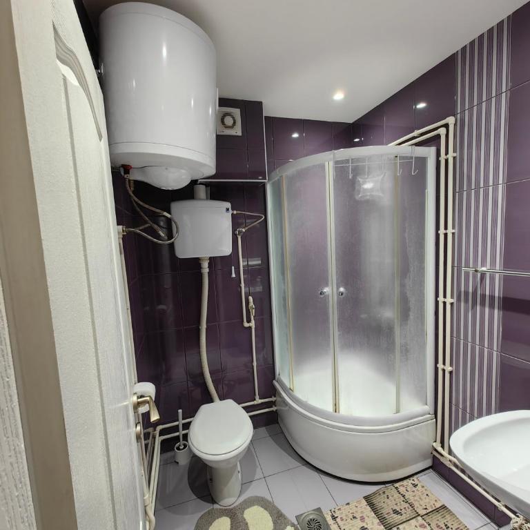 Apartmani MiS apartman br 2 - One-Bedroom Apartment - 17