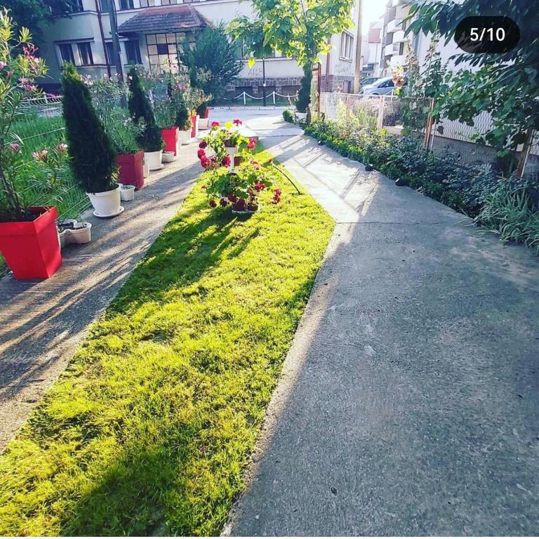 Apartmani MiS apartman br 2 - Apartman sa 1 Spavaćom Sobom - 21