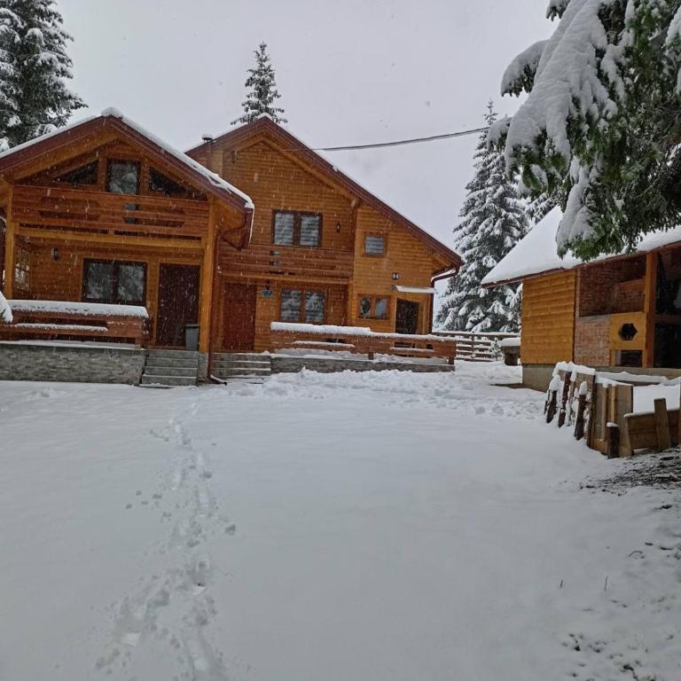Ski Chalet Jahorina - Brvnara sa 1 Spavaćom Sobom - 8