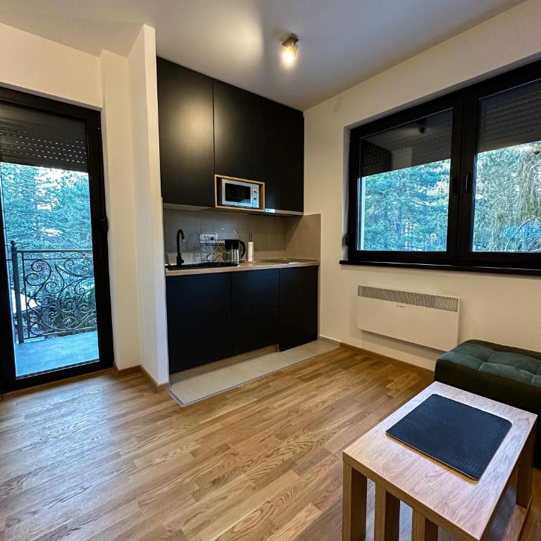 Sofija Apartman Zlatibor - Apartman sa 1 Spavaćom Sobom - 7