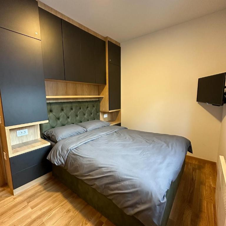 Sofija Apartman Zlatibor - Apartman sa 1 Spavaćom Sobom - 9